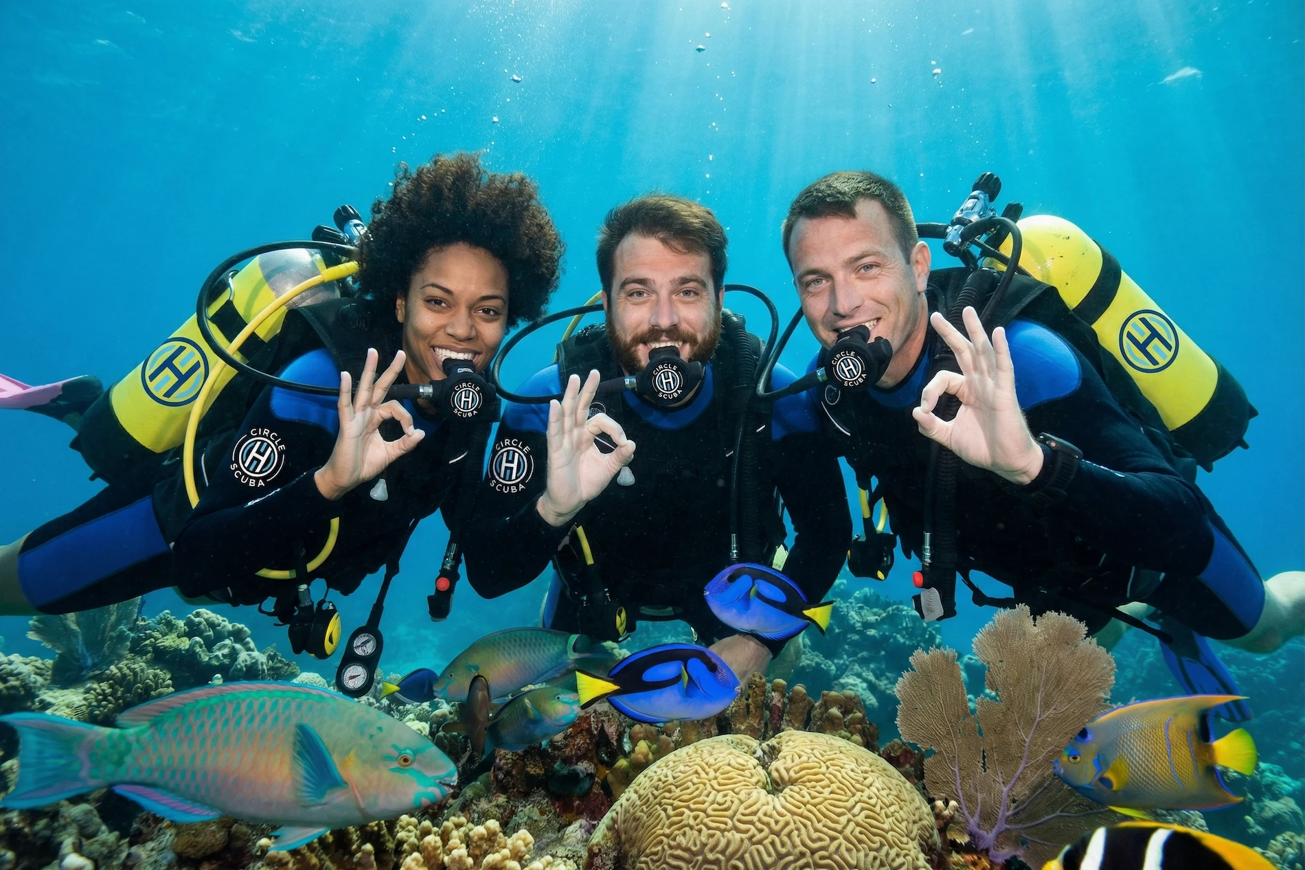 Circle H Scuba Lessons - Deep Blue Aquatic Brand Contrast