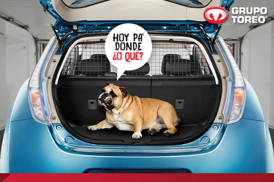 Grupo Nissan Toreo Dog Roadtrip March