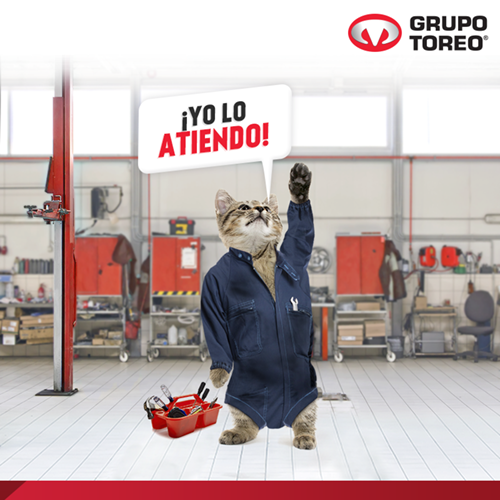 Grupo Nissan Toreo Gato Mecanico